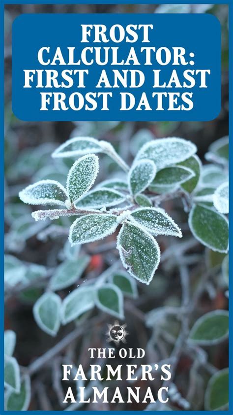 2°C)—widely destructive to most vegetation. . Old farmers almanac frost dates